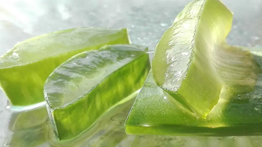 Aloe vera: cos’è, a cosa serve e proprietà