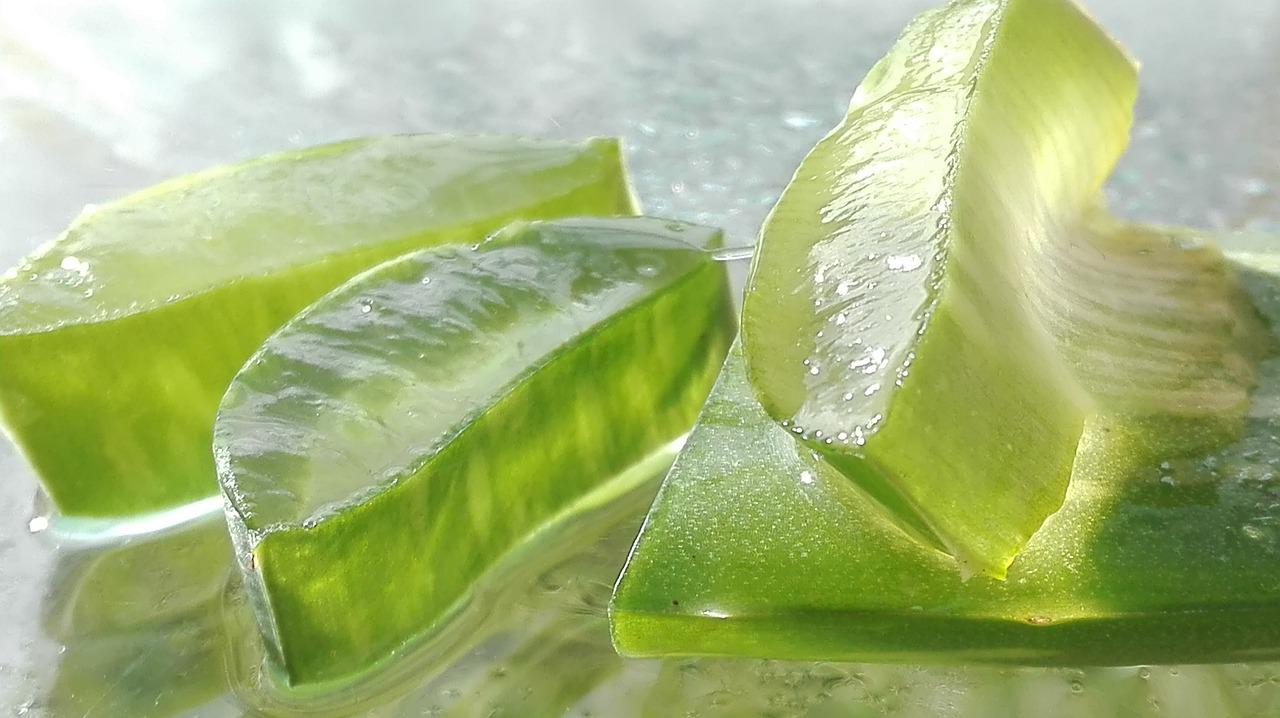 Aloe vera: cos’è, a cosa serve e proprietà