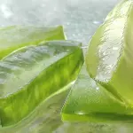 Aloe vera: cos’è, a cosa serve e proprietà
